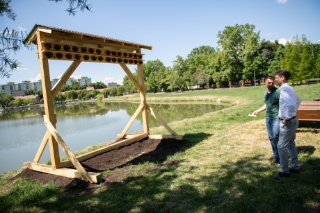 A város első fecskehotelje nyílt meg a Csónakázó-tó partján